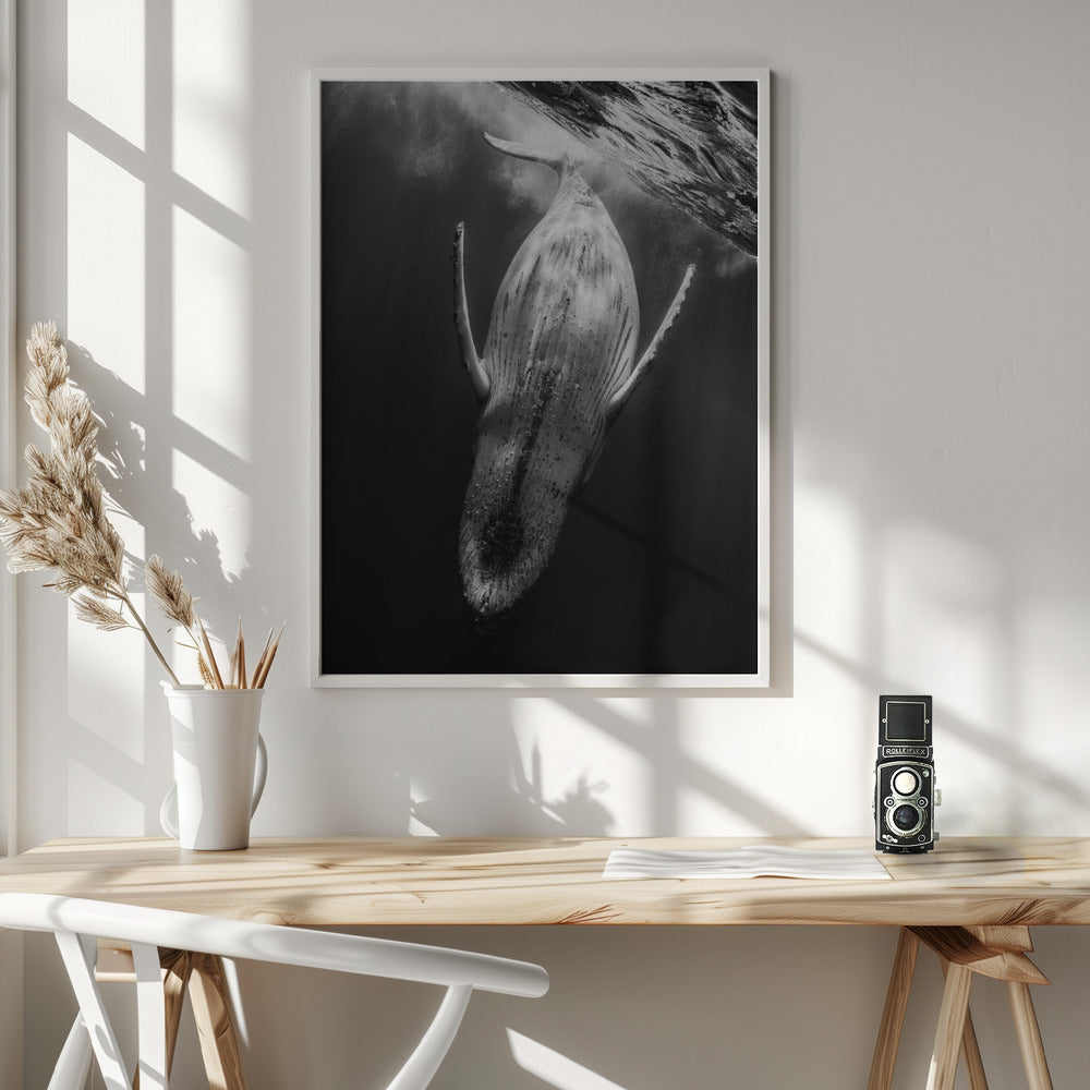 Black & Whale Poster